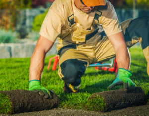 Landscaping Services in SCV