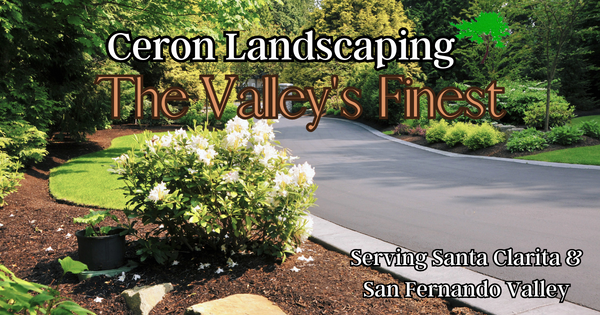 SCV Landscaping Services