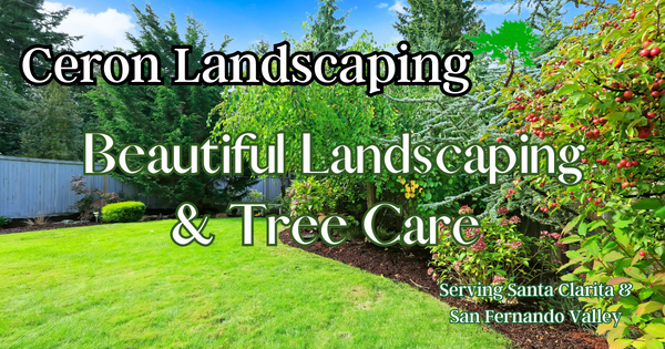 Beautiful Landscaping and Tree Care