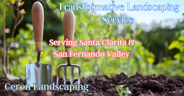 Santa Clarita's #1 Landscapers