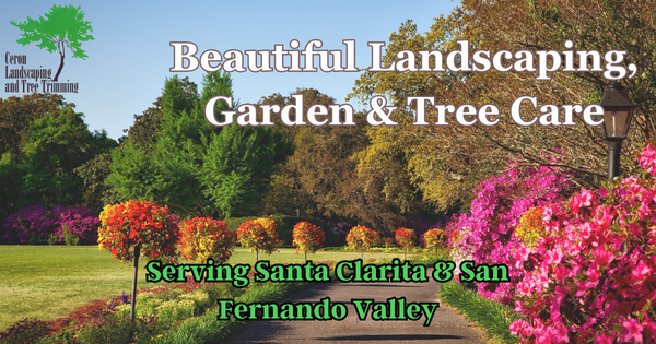 Beautiful Landscaping And Tree Care