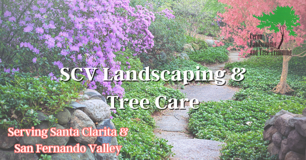 SCV Landscaping And Tree Care