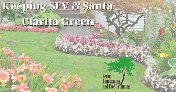 Keeping SFV & Santa Clarita Green