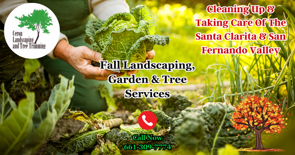 Fall Landscaping And Tree Care