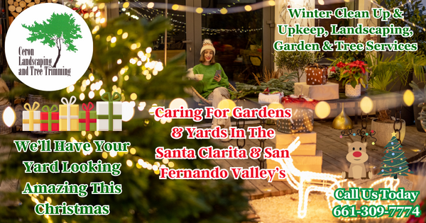 Care For Your Yard This Christmas