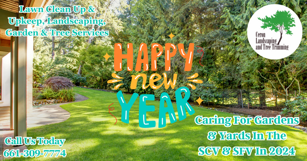 Lawn Care For The New Year