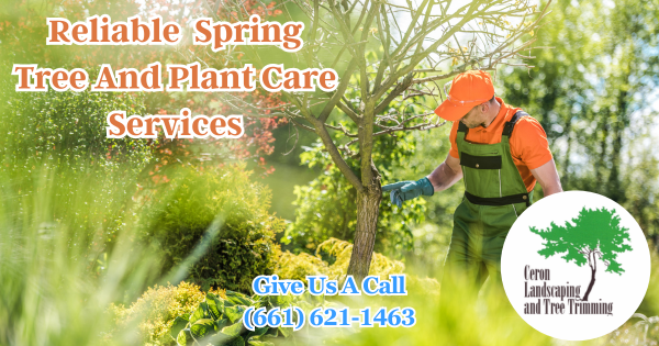 Tree Care And Landscaping Services