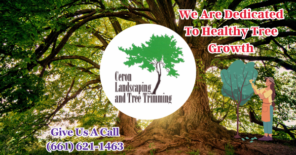 Spring And Summer Tree Service