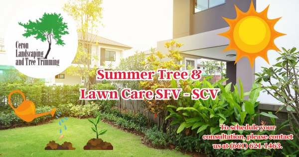 Summer Tree Growth In SFV