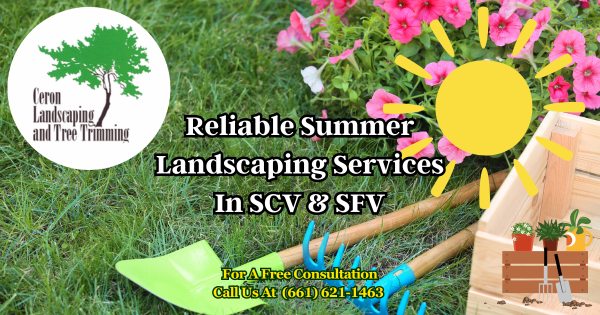Landscaping Service In SCV & SFV