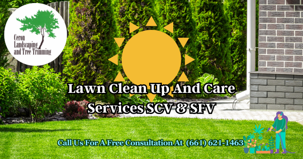 Lawn Cleanup And Care Service