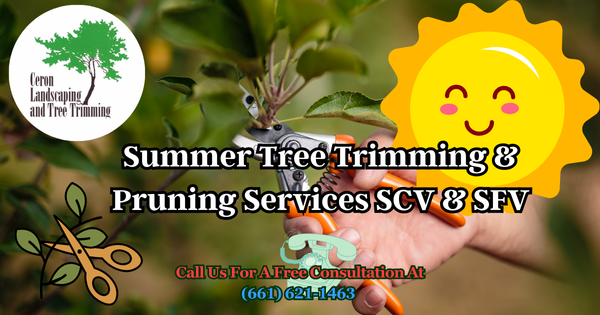 Best Tree And Lawn Care