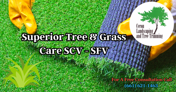 Superior Tree And Grass Care