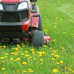 Tree And Lawn Care Service SCV - SFV