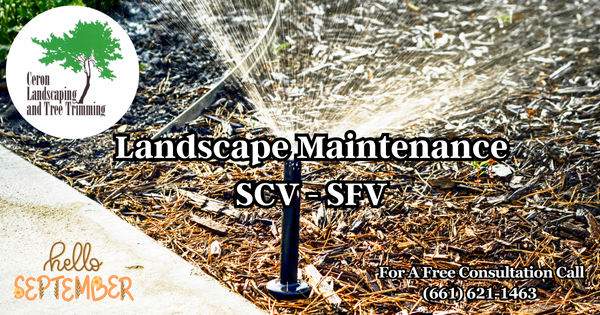 Landscape Maintenance In SCV And SFV