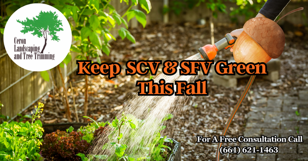 Local Landscaping Service SCV SFV