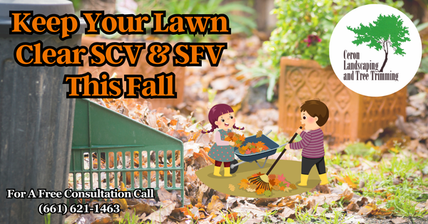 Fall Lawn Care Services