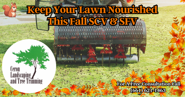 Fall Valley Landscaping SCV SFV