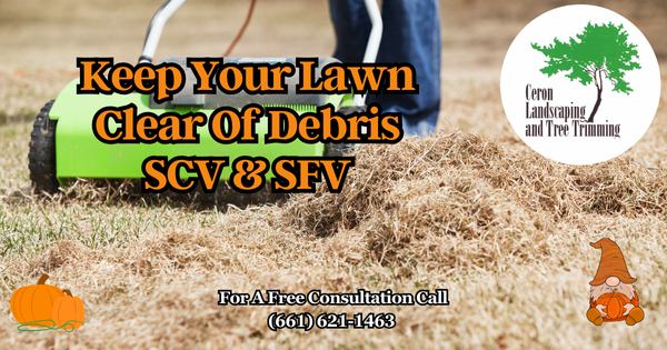 Yard Debris Removal SCV SFV