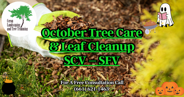 October Tree Care SCV SFV