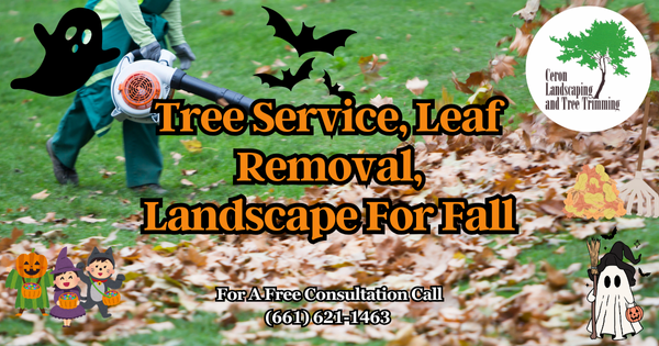 Fall Landscaping Service SCV SFV