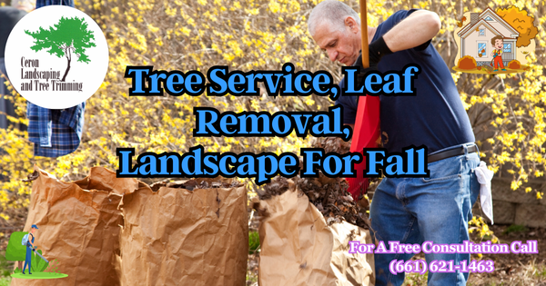 Leaf Cleanup This November SCV SFV