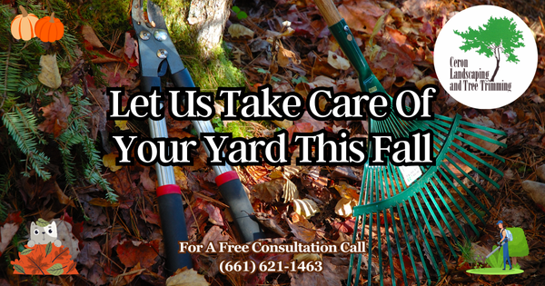 November Yard Care Service SCV SFV