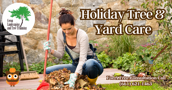 Holiday Landscaping Services SCV & SFV