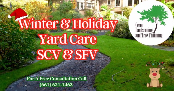 Winter Holiday Yard Care SCV SFV