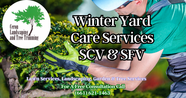 Tree Maintenance & Leaf Cleanup SCV SFV