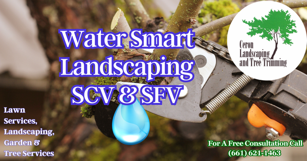 Water Smart Landscaping SCV SFV