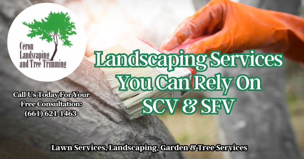 Service You Can Rely On SCF SFV