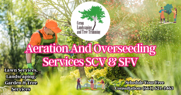 Aeration And Overseeding Services SCV SFV