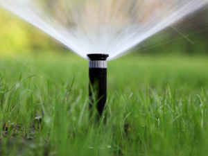 Sprinkler Installation And Repair SCV SFV