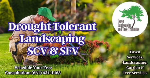Drought Tolerant Landscaping SCV SFV