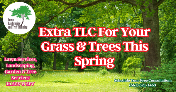 Grass Care For Hot Weather SCV SFV