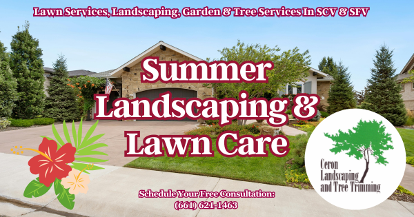 Summer Landscaping And Lawncare SCV SFV