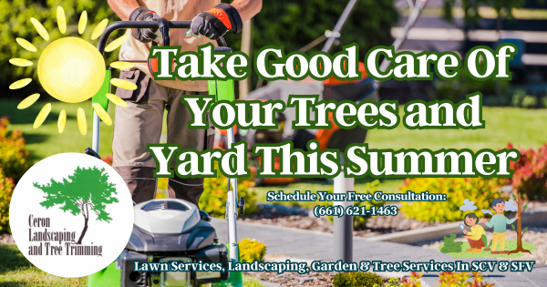 SCV And SFV Yard Care