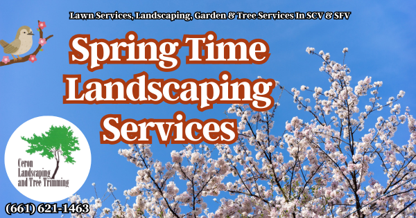 Landscaping Services in SCV And SFV