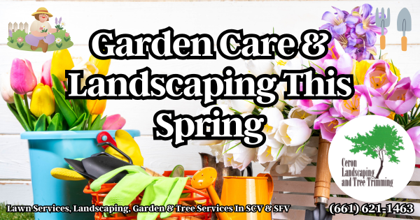 Spring Garden And Landscaping Services SCV SFV