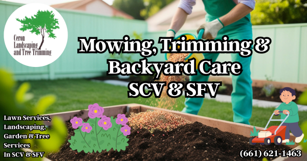 Mowing & Backyard Care SCV & SFV