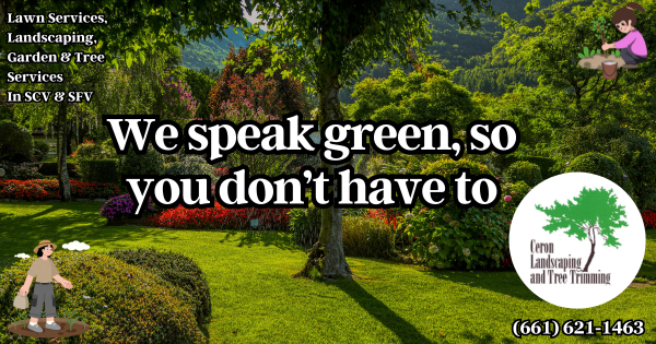 Healthy And Green Grass All Year SCV SFV