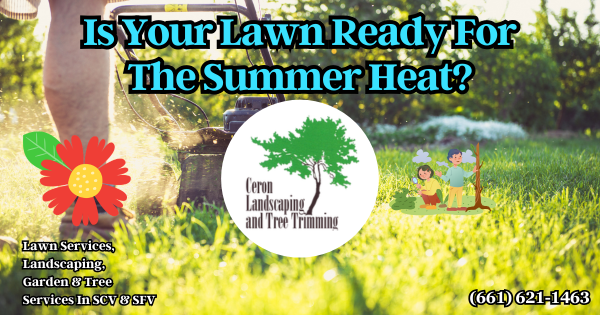 Help Your Lawn Thrive This Summer SCV SFV