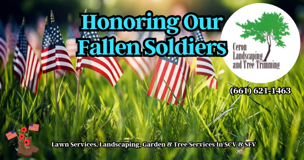 Remembering Our Fallen Soldiers SCV SFV