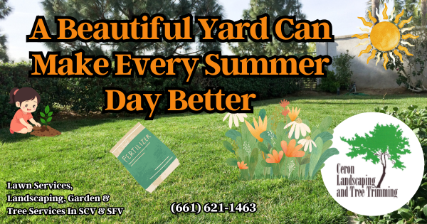 A Beautiful Yard This Summer SCV SFV