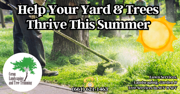 Help Your Yard And Trees Thrive SCV SFV