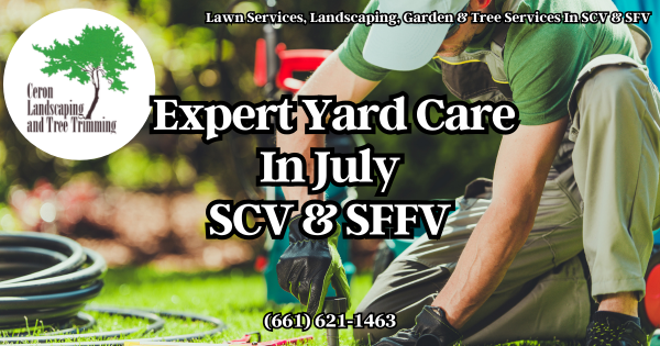 Expert Yard Care In SCV And SFV