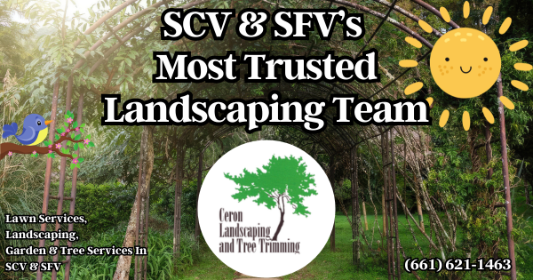 SCV And SFV's Most Trusted Landscapers