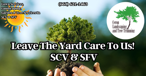 Let Us Handle The Yard Work SCV SFV