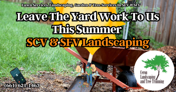 Need Help With Your Yard This August? SCV SFV